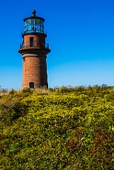 Wildflowers Surround Gay Head Light on Martha's Vineyard